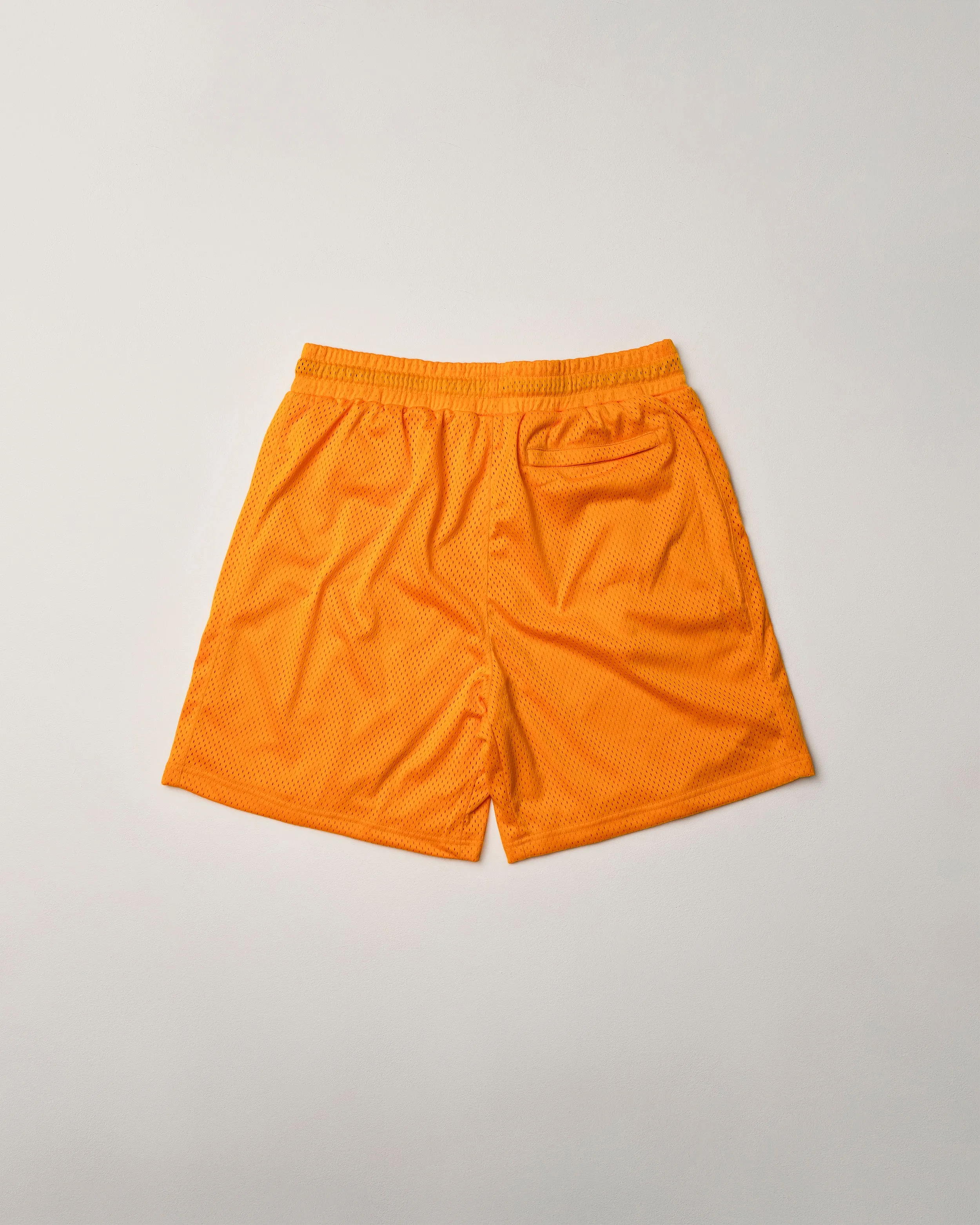 D-Mesh Gym Shorts